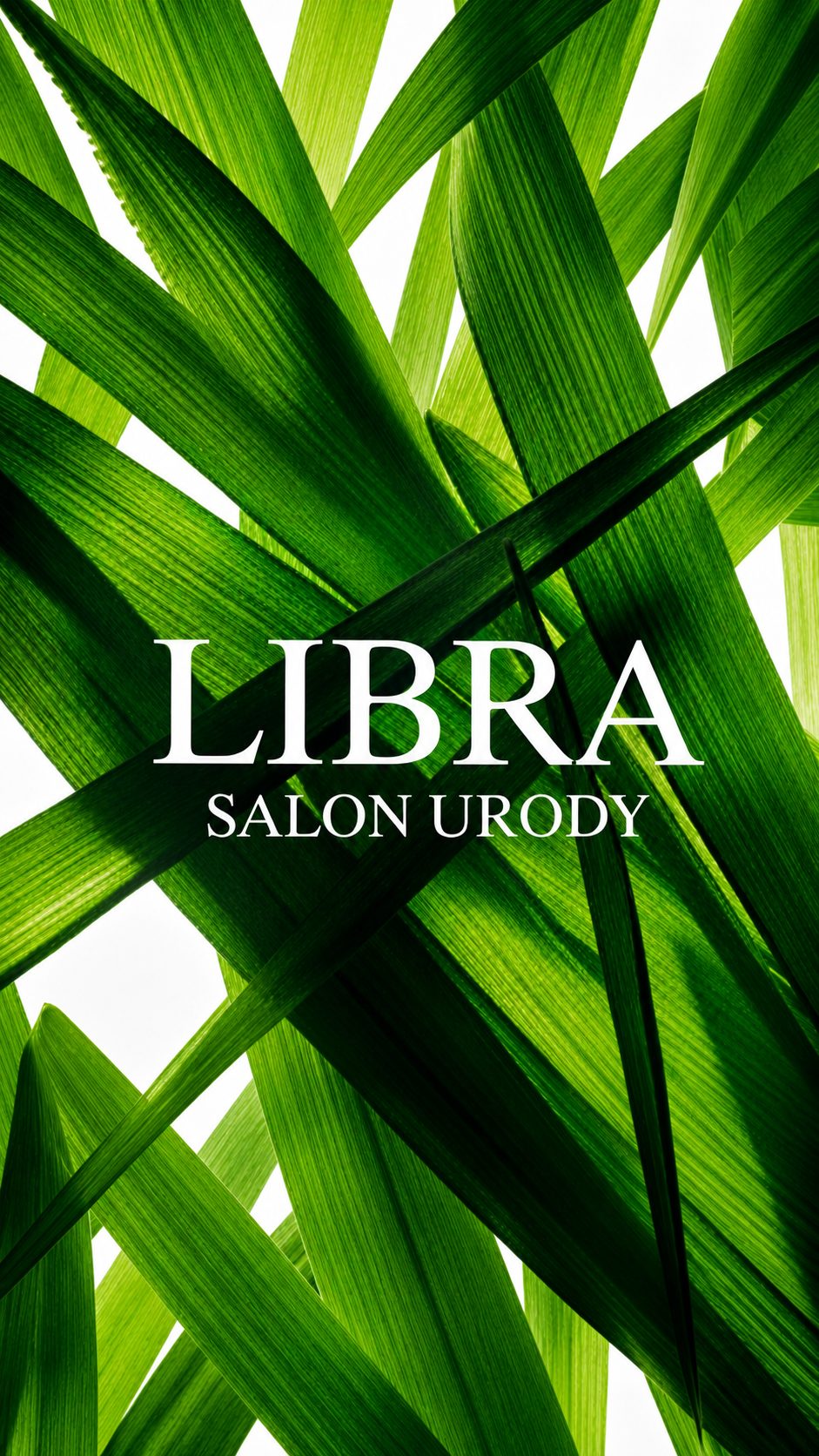 Recepcja i poczekalnia Salonu Urody Libra